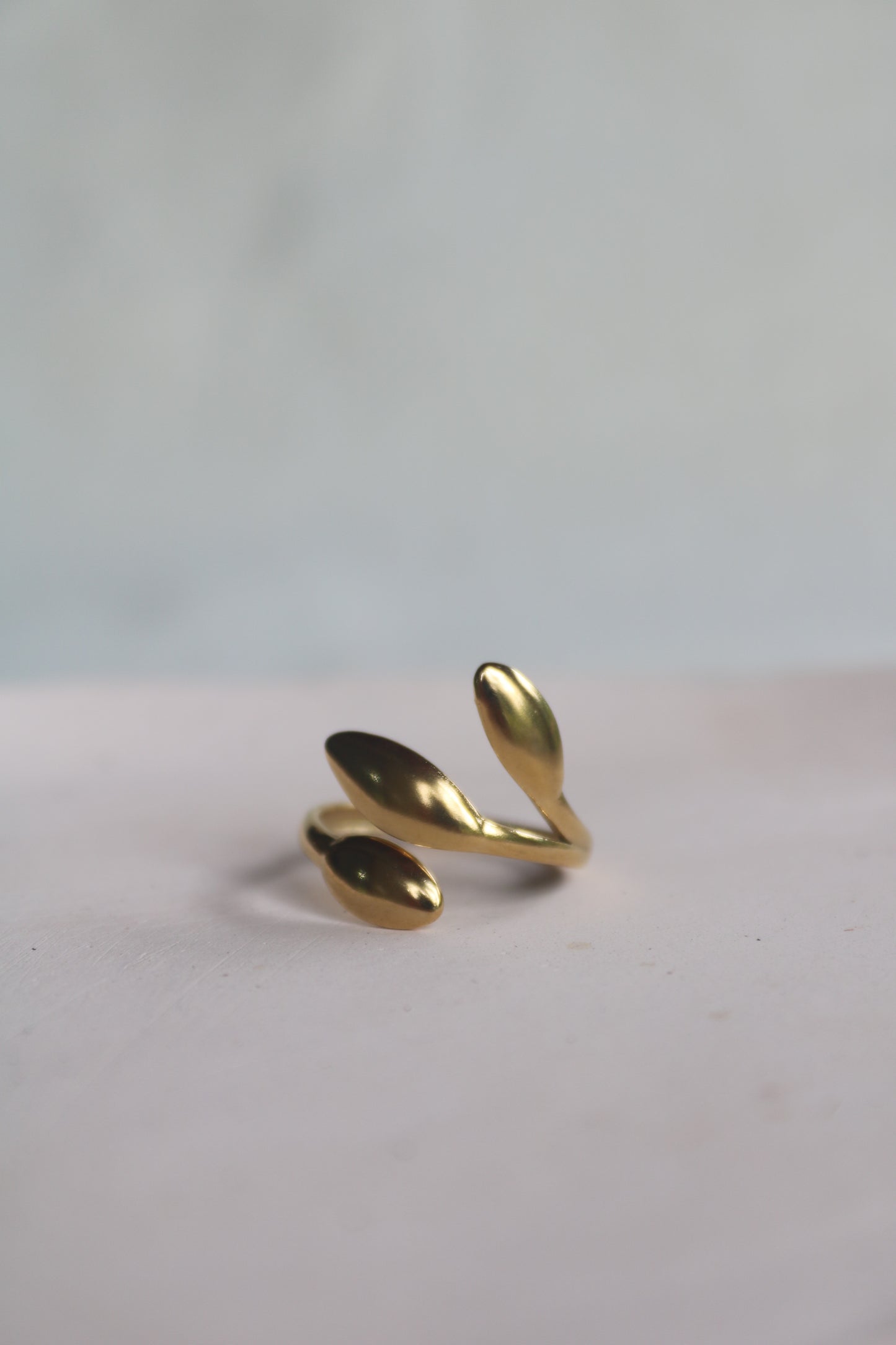 Bague de floraison éternelle