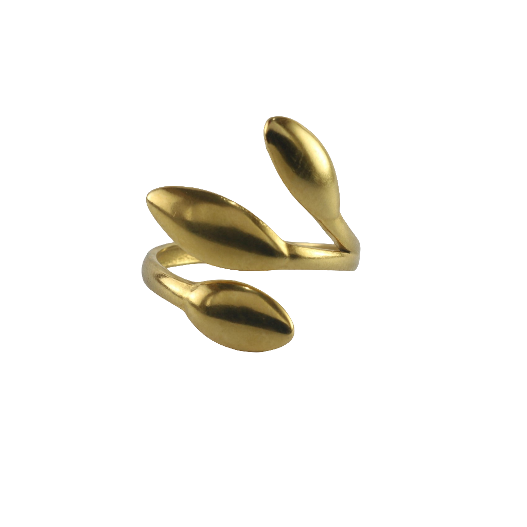 Bague de floraison éternelle
